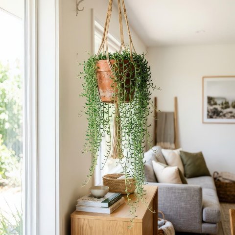 String of Fishhooks